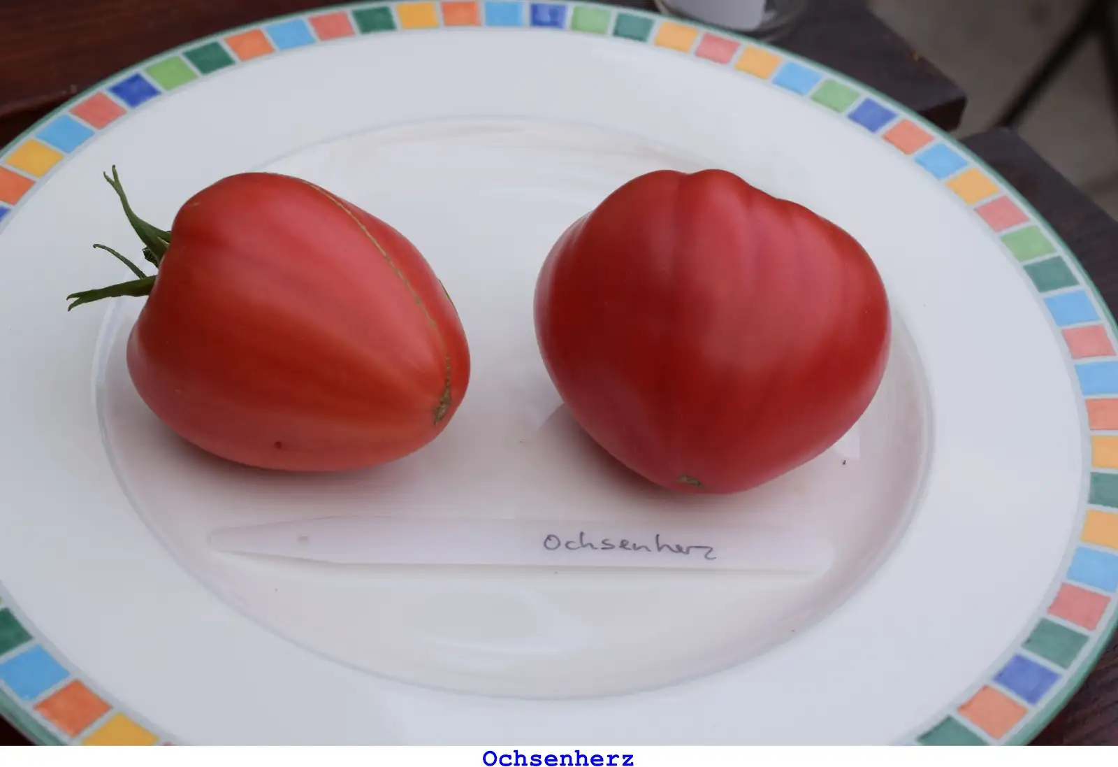 Tomaten: Ochsenherz