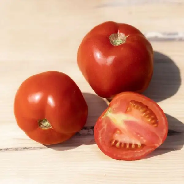 Tomaten: Odessa