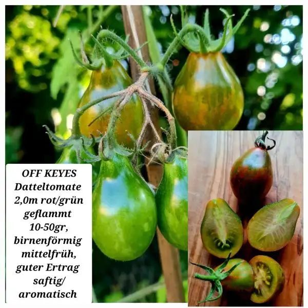 Tomaten: Off keyes