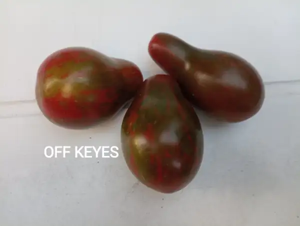 Tomaten: Off keyes