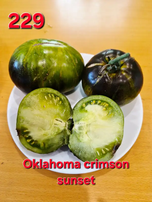 Tomaten: Oklahoma crimson sunset