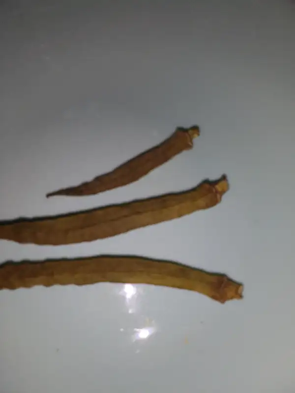 andere Gemüse: Okra