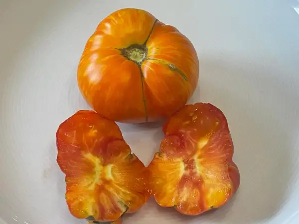 Tomaten: Old German - Stabtomate