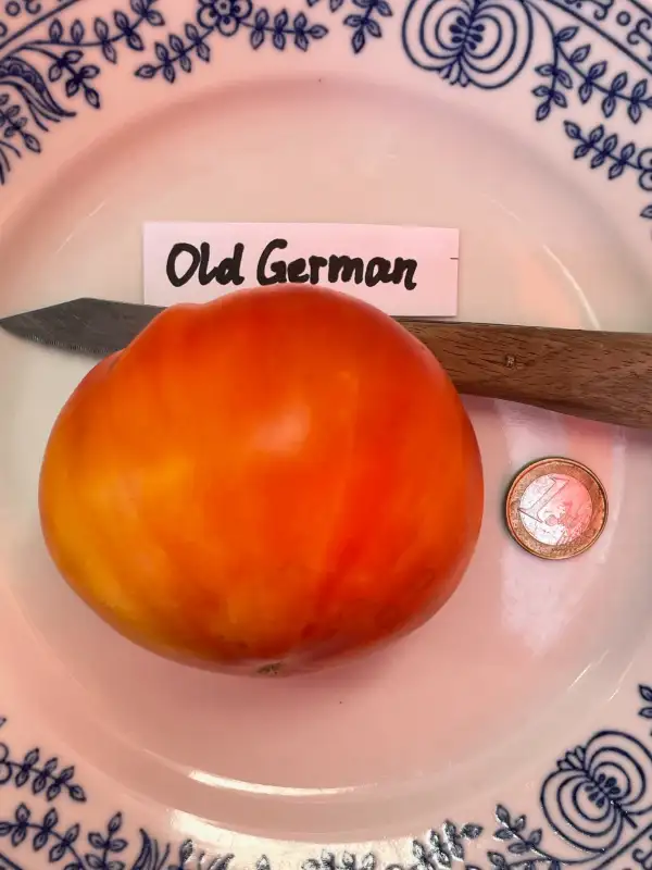 Tomaten: Old German