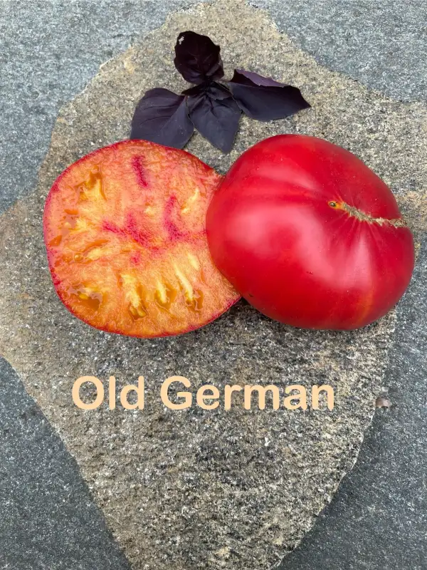 Tomaten: Old German