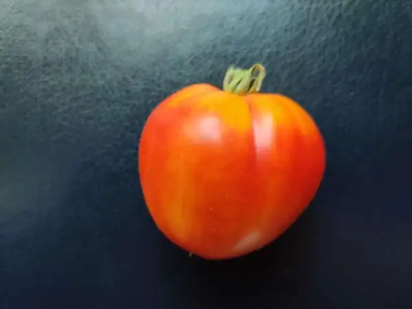 Tomaten: Old German