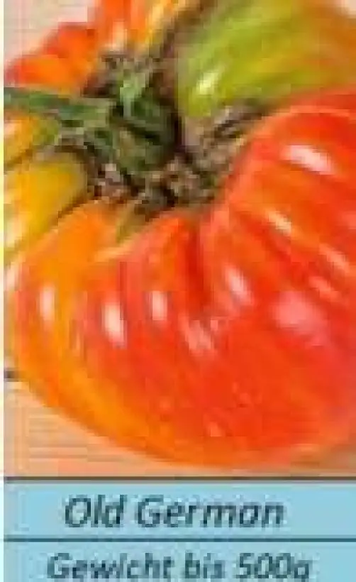 Tomaten: Old German