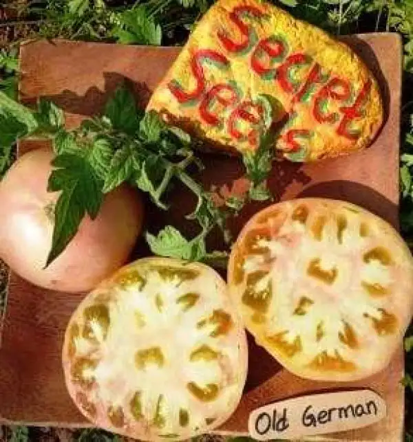 Tomaten: Old German