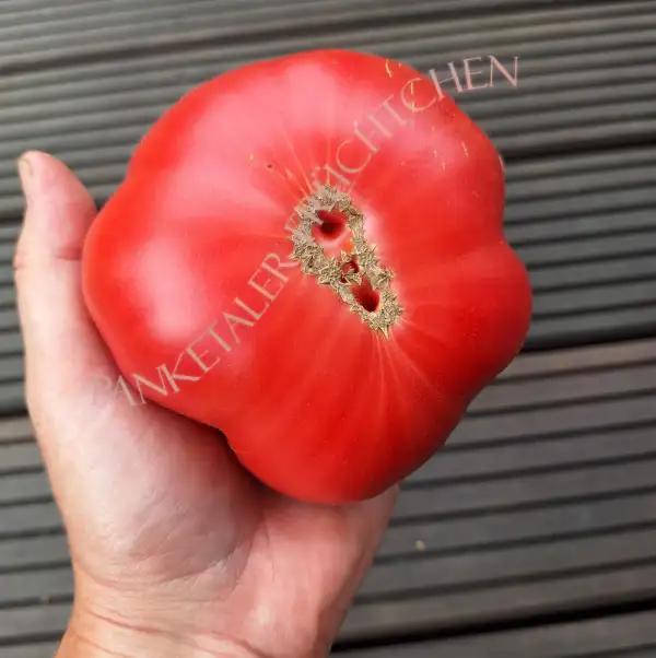 Tomaten: Olena Ukrainian