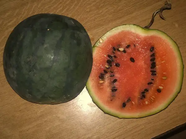 Melonen: Olgas Schöne wassermelone