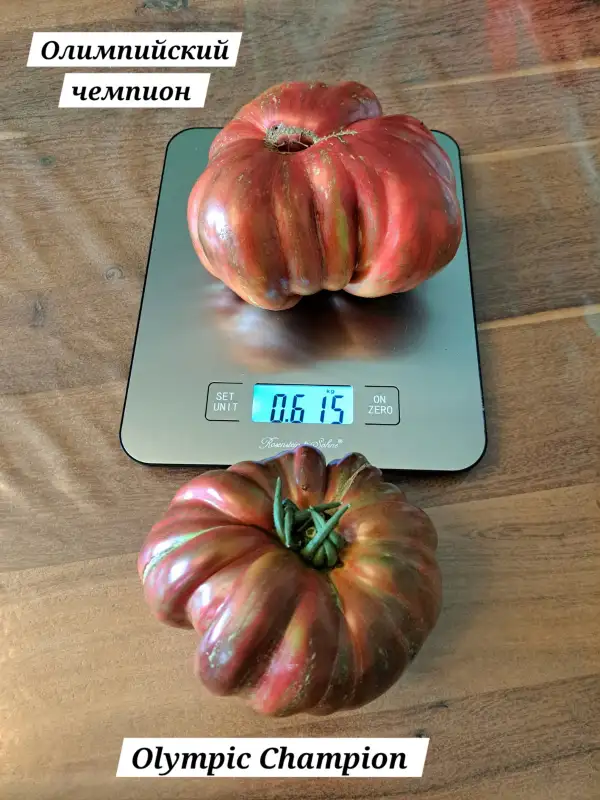 Tomaten: Olympic Champion