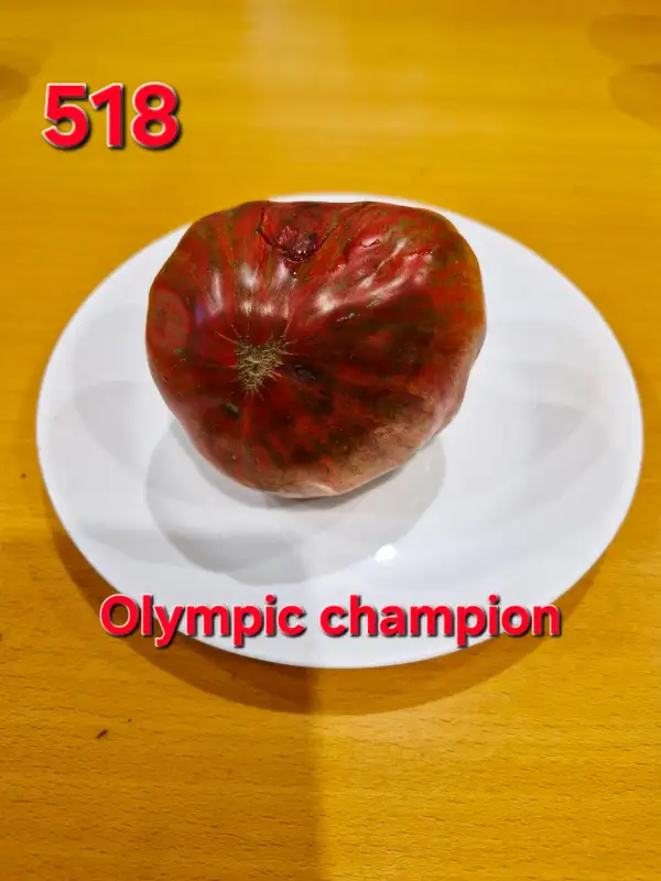 Tomaten: Olympic Champion