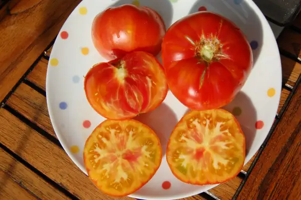 Tomaten: Olympische Flamme