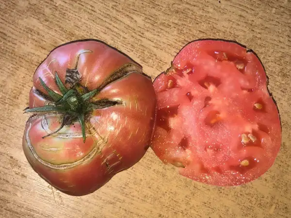 Tomaten: Omar