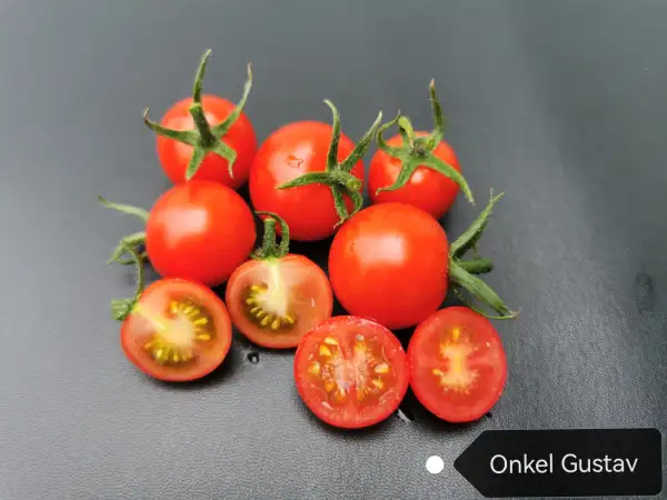 Tomaten: Onkel Gustav