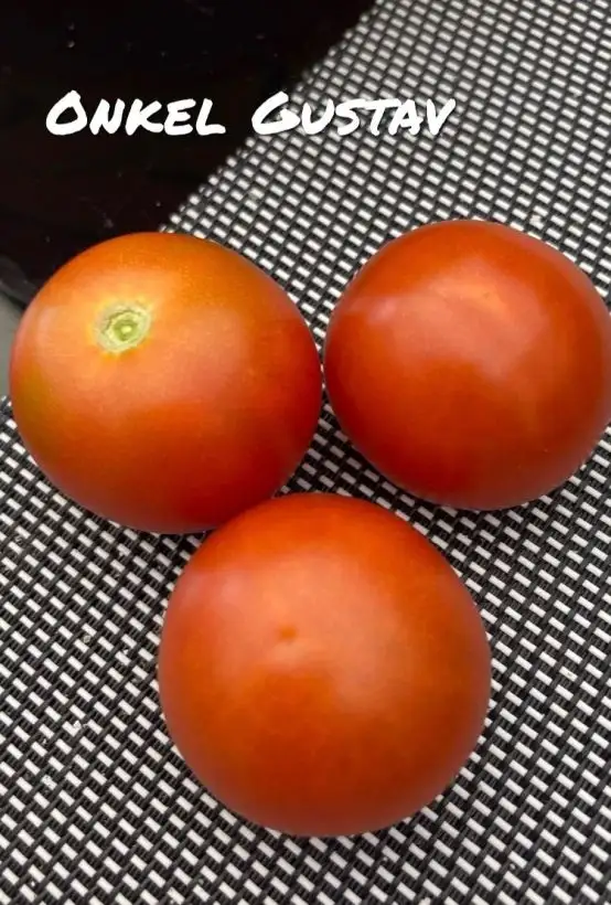 Tomaten: Onkel Gustav