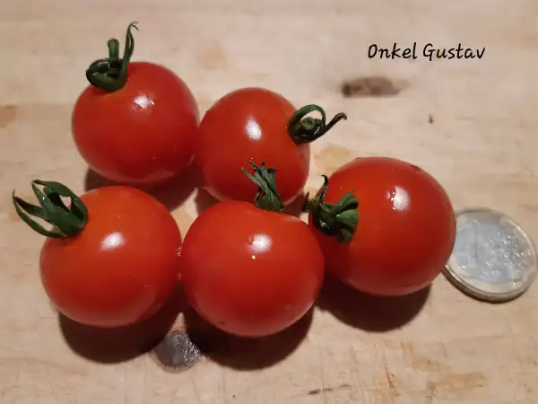 Tomaten: Onkel Gustav