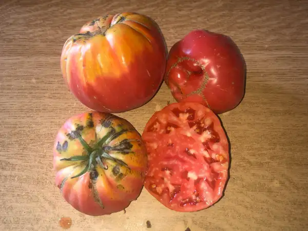 Tomaten: Opaco de Moreiras