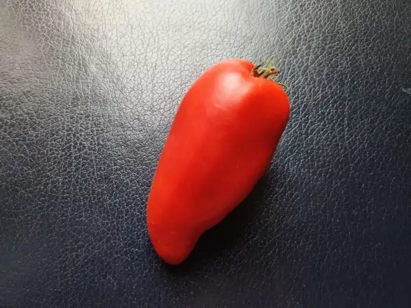 Tomaten: Opalska