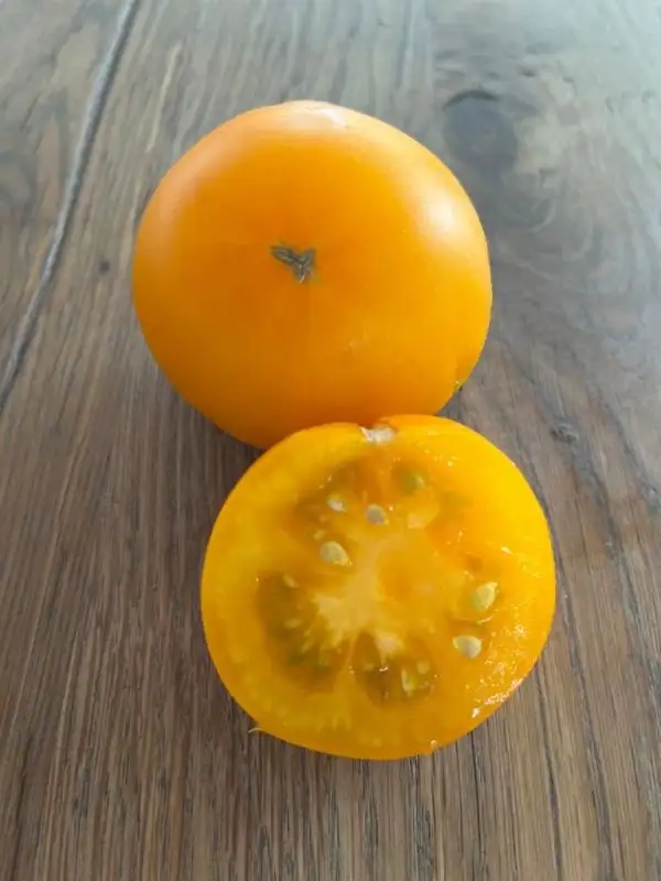 Tomaten: Orange Beefsteak