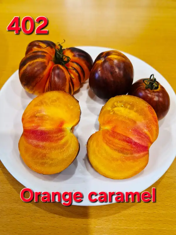 Tomaten: Orange caramel