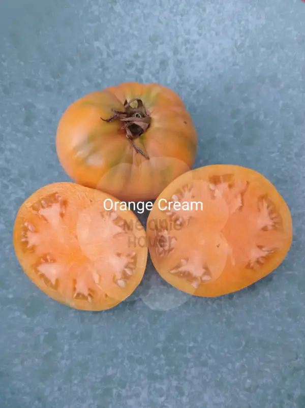 Tomaten: Orange Cream