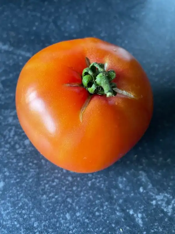 Tomaten: Orange Crush