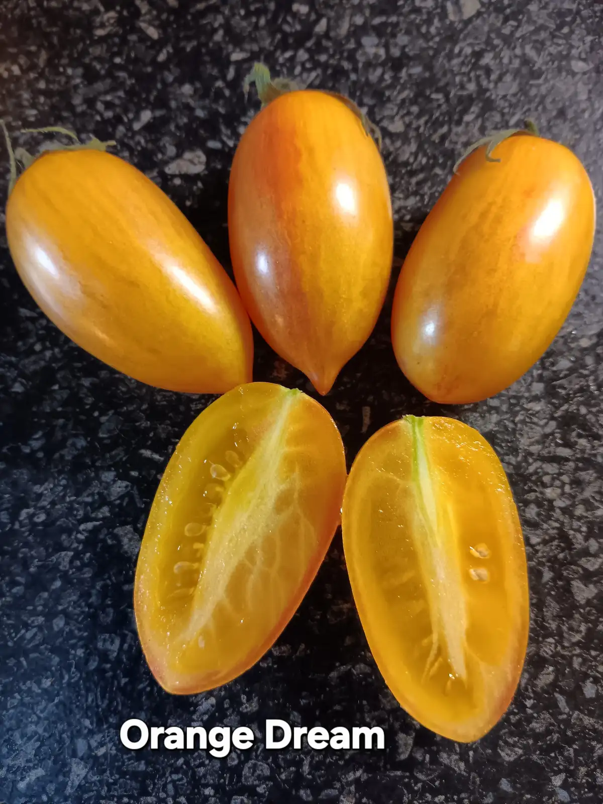 Tomaten: Orange Dream