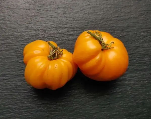 Tomaten: Orange Jazz