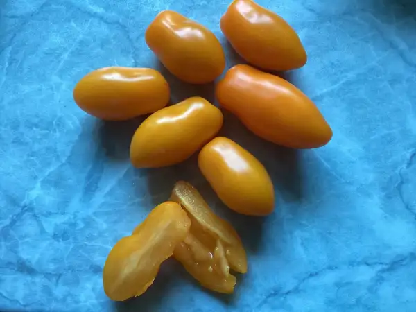 Tomaten: Orange Keyes