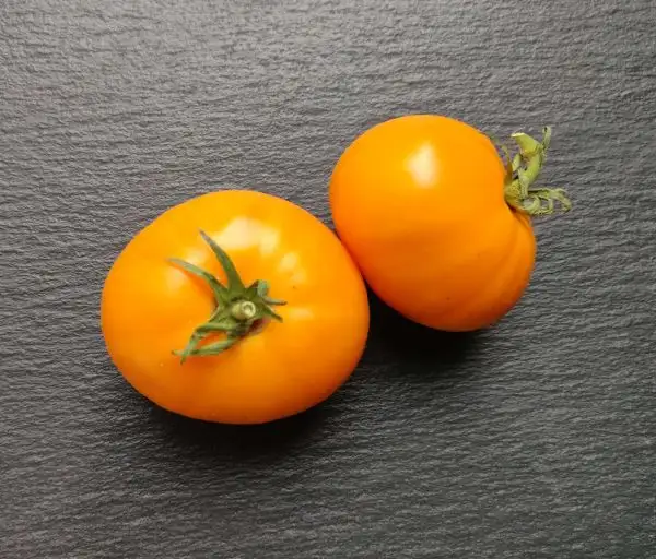 Tomaten: Orange King