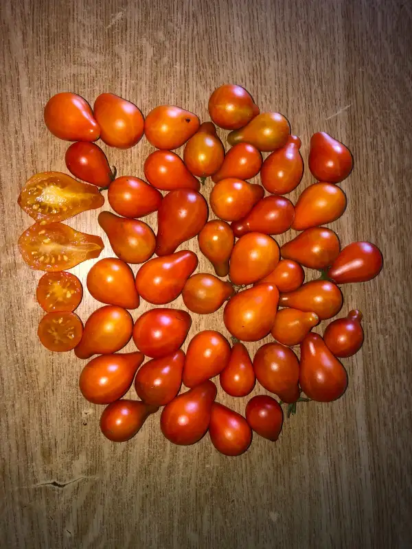 Tomaten: Orange Pear Cherry