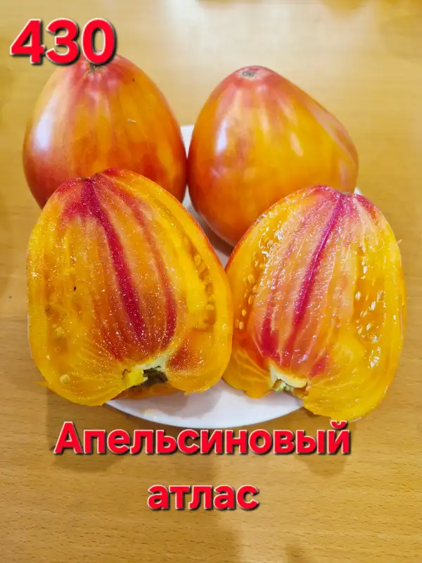 Tomaten: Orange satin
