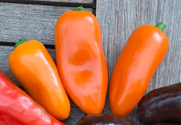 Chili / Paprika: Orange Snackpaprika