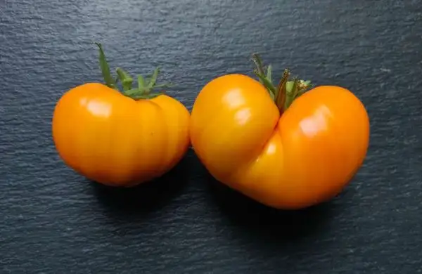 Tomaten: Orange Strawberry