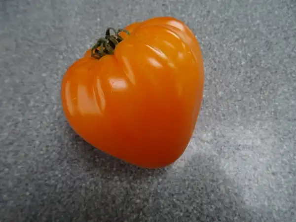 Tomaten: Orange Strawberry