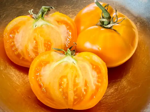 Tomaten: Orange Strawberry