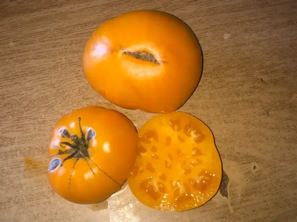 Tomaten: Orange Strawberry (beefsteack strain)