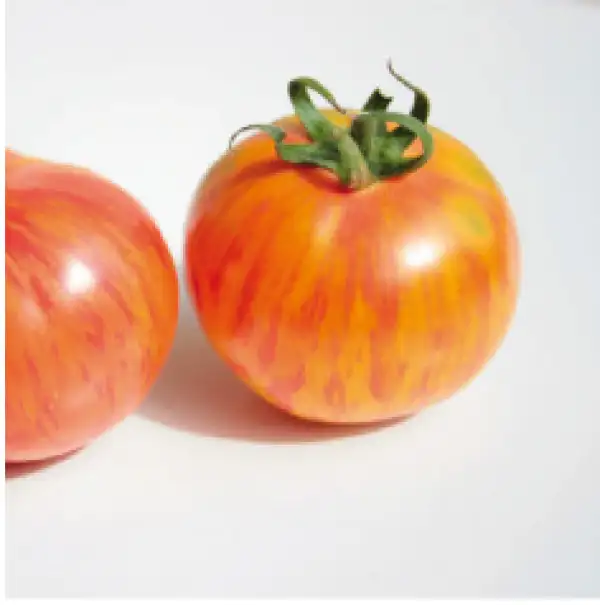 Tomaten: Orange Yellow Striped