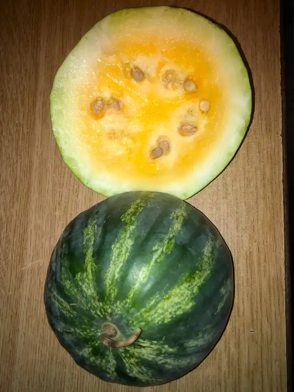 Obst: Orangeglo / Wassermelone