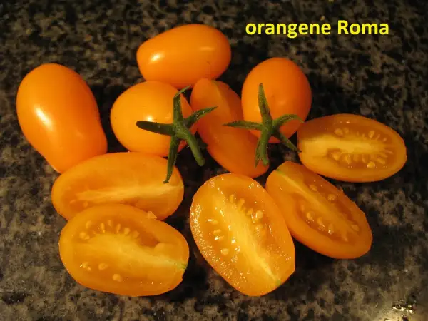 Tomaten: orangene Roma