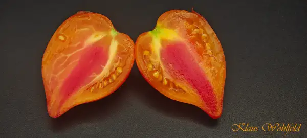 Tomaten: Orangenmango