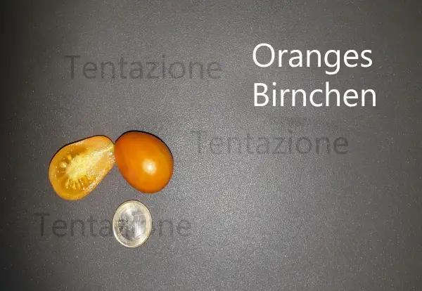 Tomaten: Oranges Birnchen