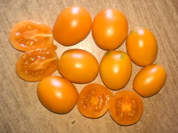 Tomaten: Oranzhevye Slivk