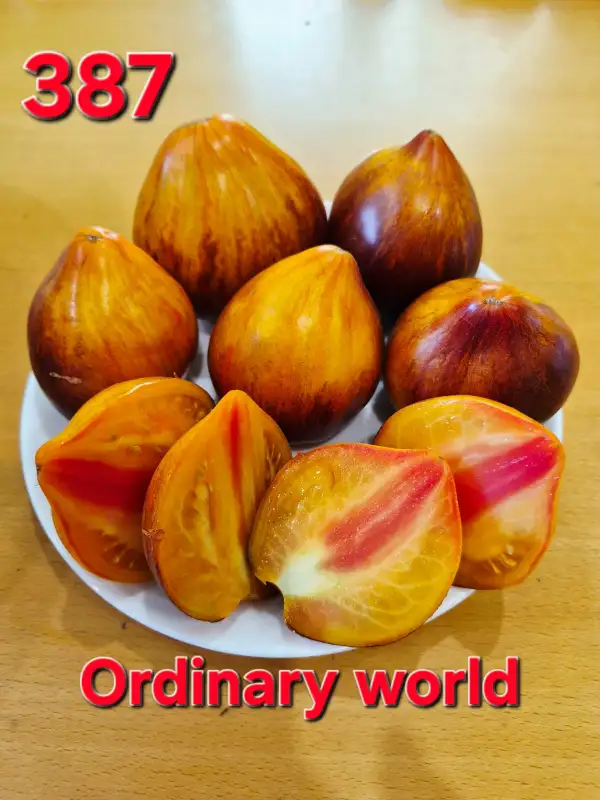 Tomaten: Ordinary world