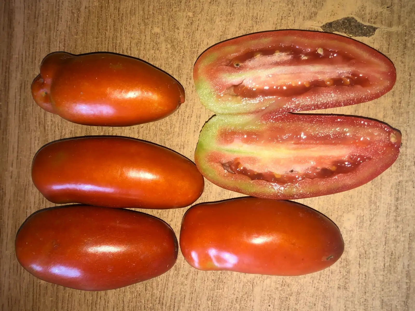 Tomaten: Oroma Red
