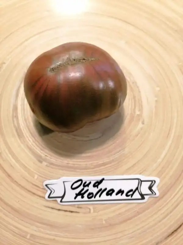 Tomaten: Oud Holland