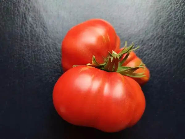 Tomaten: Our Own Pink