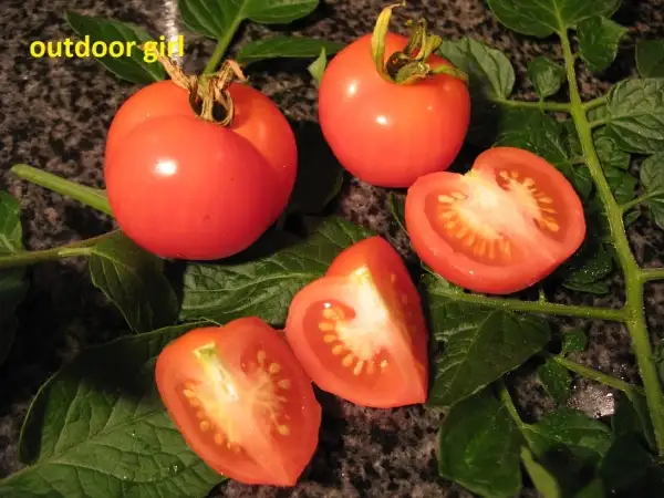 Tomaten: Outdoor Girl