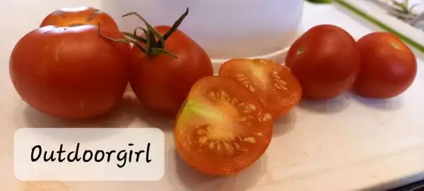 Tomaten: Outdoorgirl